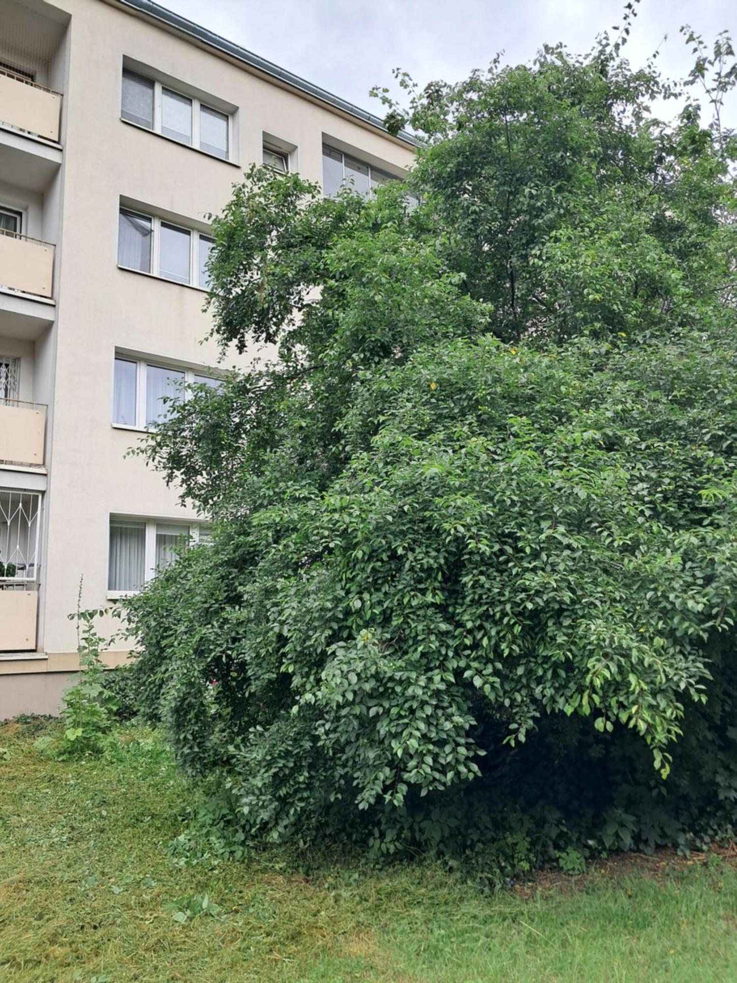 Apartment Mokotow *